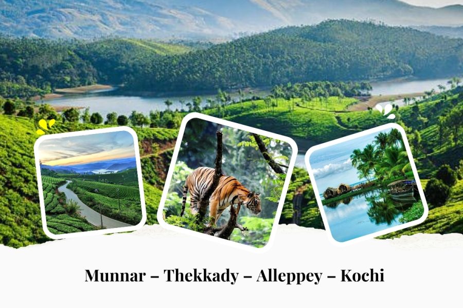 Mesmerizing Kerala (Munnar – Thekkady – Alleppey – Kochi)